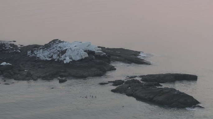 航拍威海高区后荆汪海边礁石海水结冰