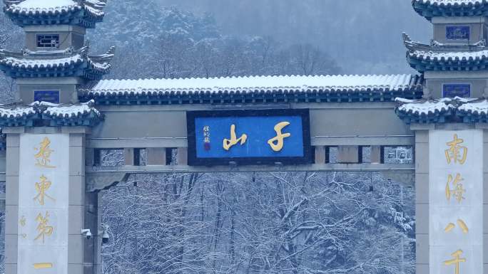 辽宁鞍山千山景区雪松雾松航拍-20