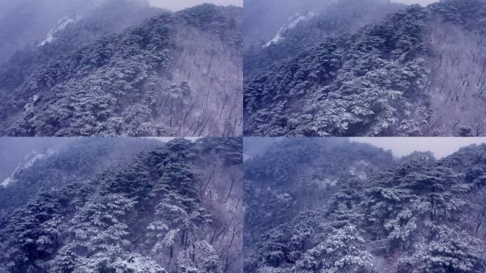 辽宁鞍山千山景区雪松雾松航拍-10