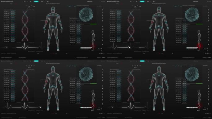 医学研究环境软件模板与DNA分析和男性身体扫描结果的计算机显示器和笔记本电脑屏幕。未来医疗保健和生物
