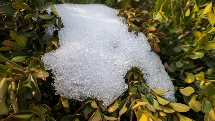 冰雪消融延时