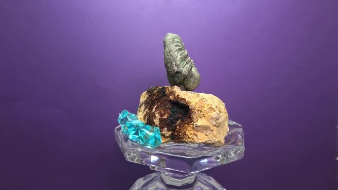 一个小玻璃显示器上的化石、石英岩和蓝色水晶宝石的特写镜头