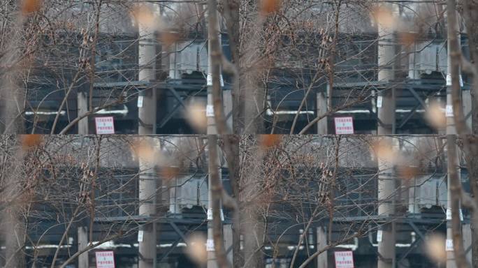 火车驶过丛林火车飞快驶过腊梅枝前景