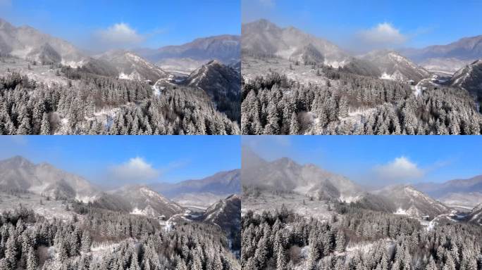 森林山峰雪景航拍