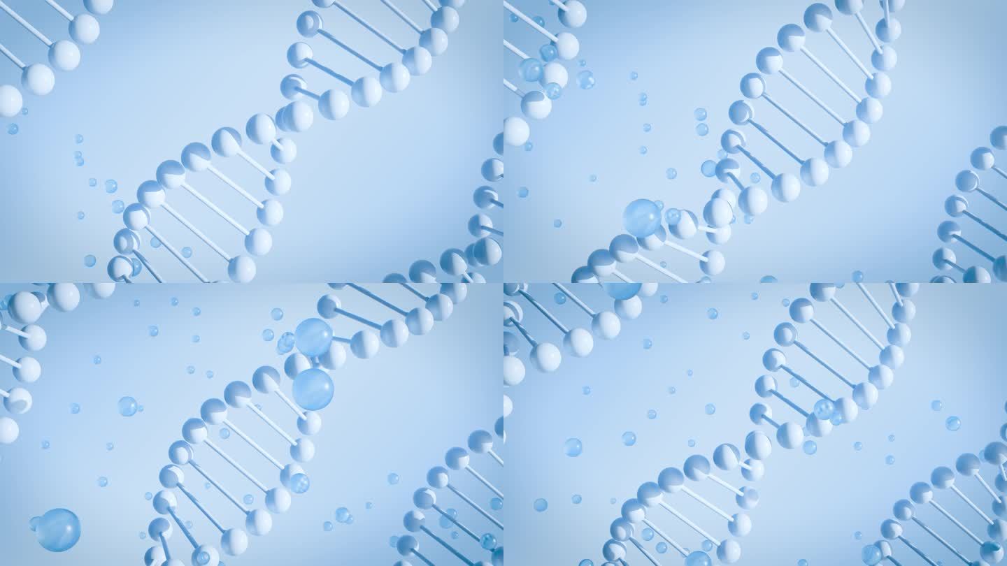 DNA水分子动画