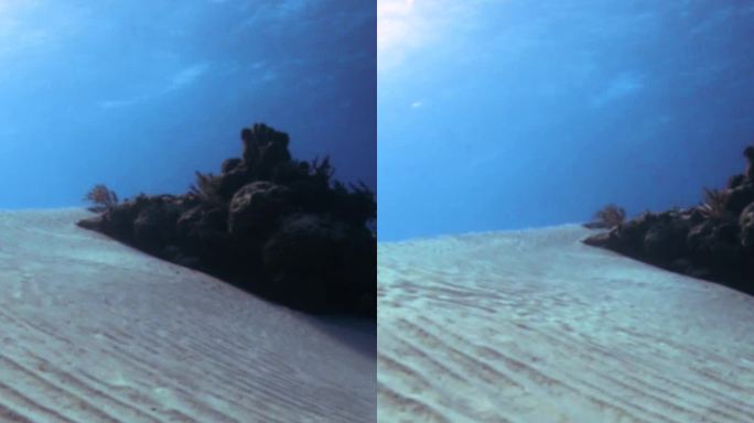 在沙质海底水下游泳