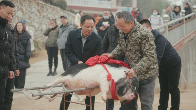 4K 宁乡花猪 杀年猪