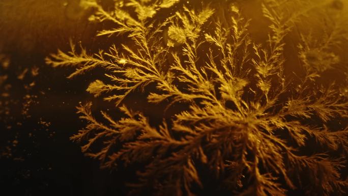 皮蛋松花蛋花纹雪花纹理美食特写