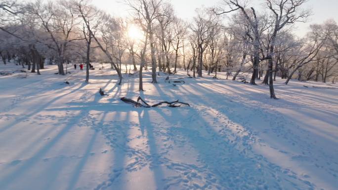 吉林雾凇雪景