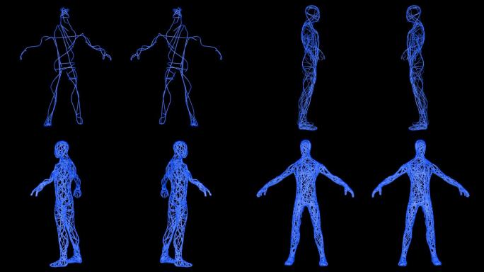 使用3D动画样条的3D动画人物构造。