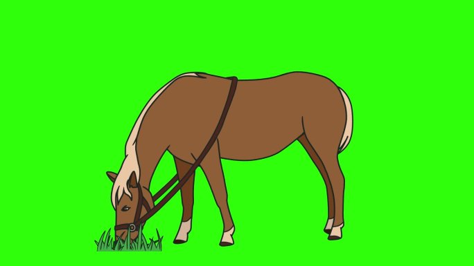 卡通棕马在草地上吃草。