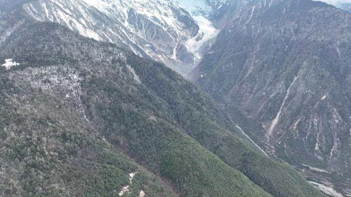 梅里雪山和山下的森林