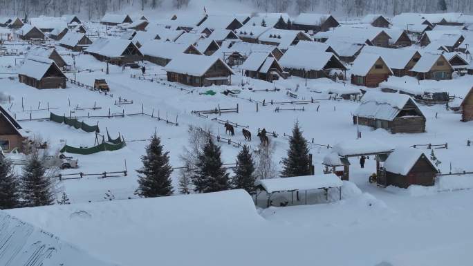 新疆禾木村冬季雪景航拍