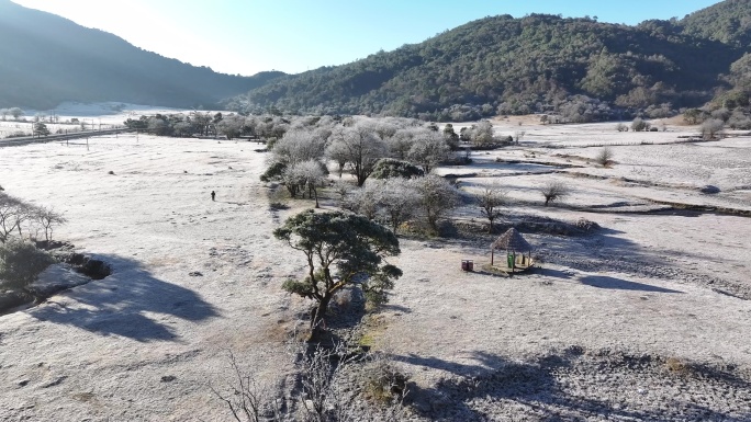 白霜满地的德宏州盈江黄草坝