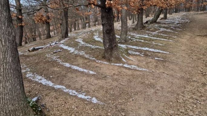 不均匀的冻土会在多年前犁过的森林地面上形成雪纹。由于密度和结构的变化，从地面传导的热量是不一样的