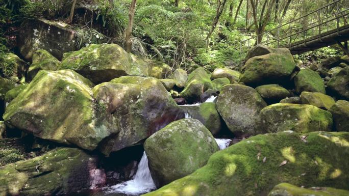 台湾新北市石门区尖山湖径