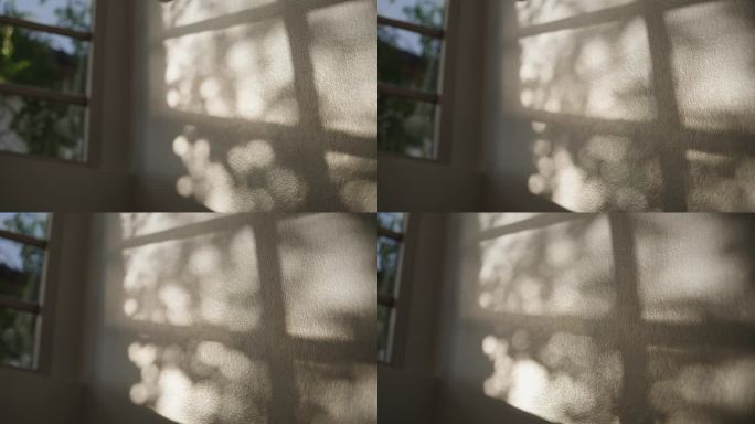 光的游戏