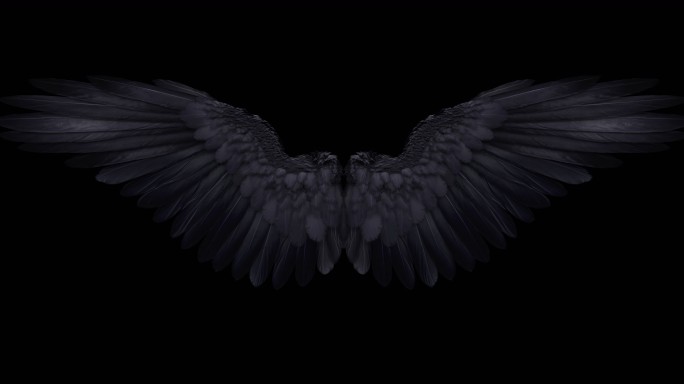 4K黑色翅膀展开带(透明通道)