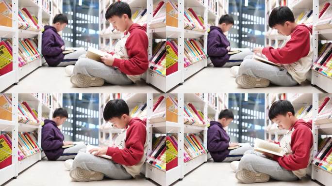 两个男孩在图书馆读书