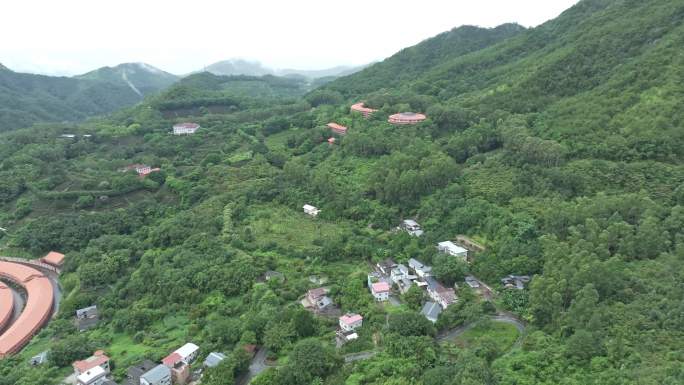 梅州雁南飞茶场4k航拍