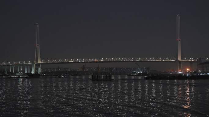 上海徐浦大桥夜景