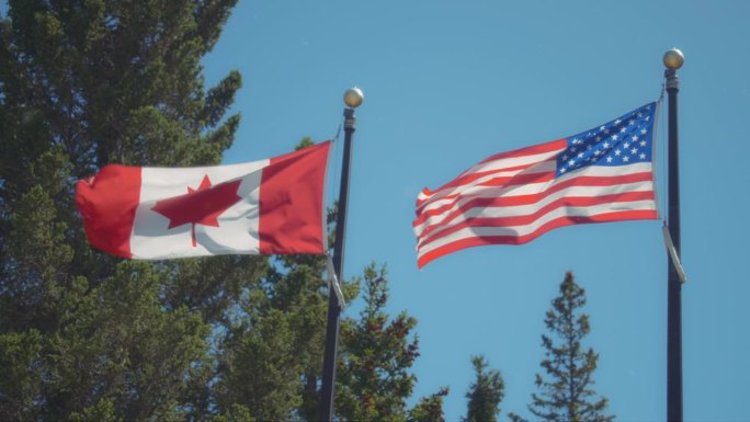 加拿大和美国的国旗迎风飘扬，映衬着树木和蓝天