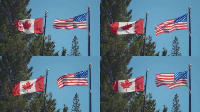 加拿大和美国的国旗迎风飘扬，映衬着树木和蓝天