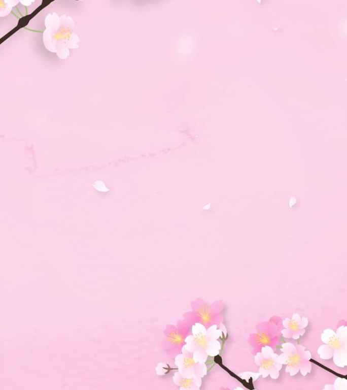 樱花循环动画粉红色