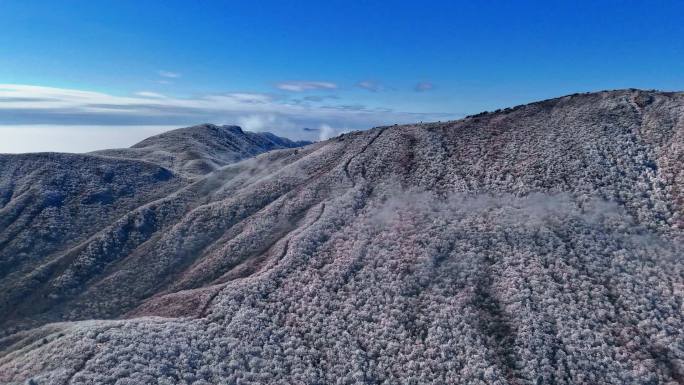 安吉龙王山雪天无人机穿云