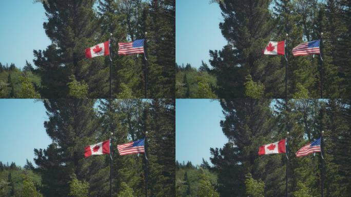 加拿大和美国的国旗迎风飘扬，迎击着树木和飞扬的微粒