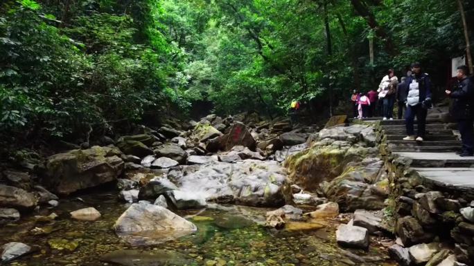 广东肇庆鼎湖山自然风光风景景区绿植山水