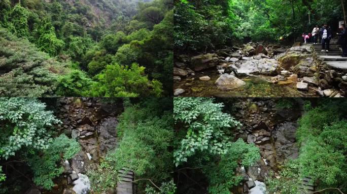 广东肇庆鼎湖山自然风光风景景区绿植山水