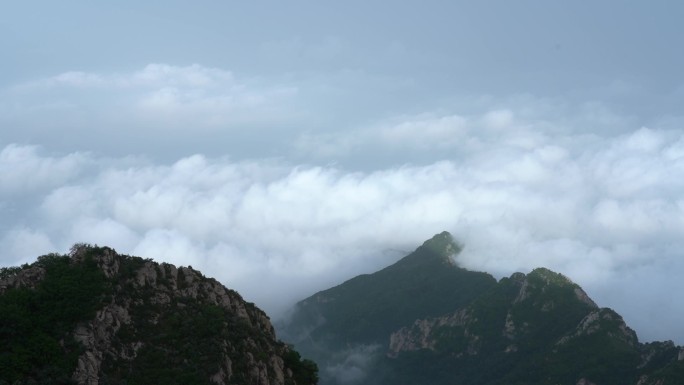 云海 山 森林 蓬勃大气 和谐 气势磅礴