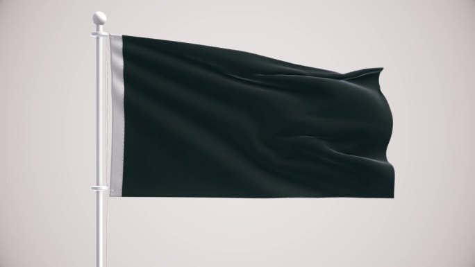 黑旗+阿尔法频道阿尔法频道反抗运动秘密组