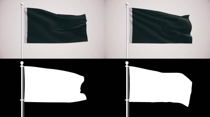 黑旗+阿尔法频道阿尔法频道反抗运动秘密组