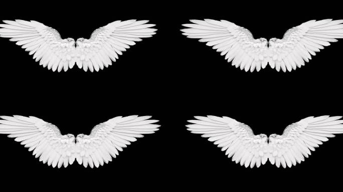 4K白色展开翅膀带(透明通道)