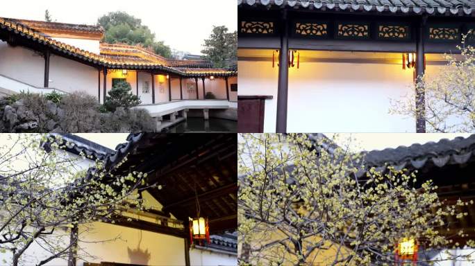 （合集）南京夫子庙瞻园古风白墙腊梅夜晚