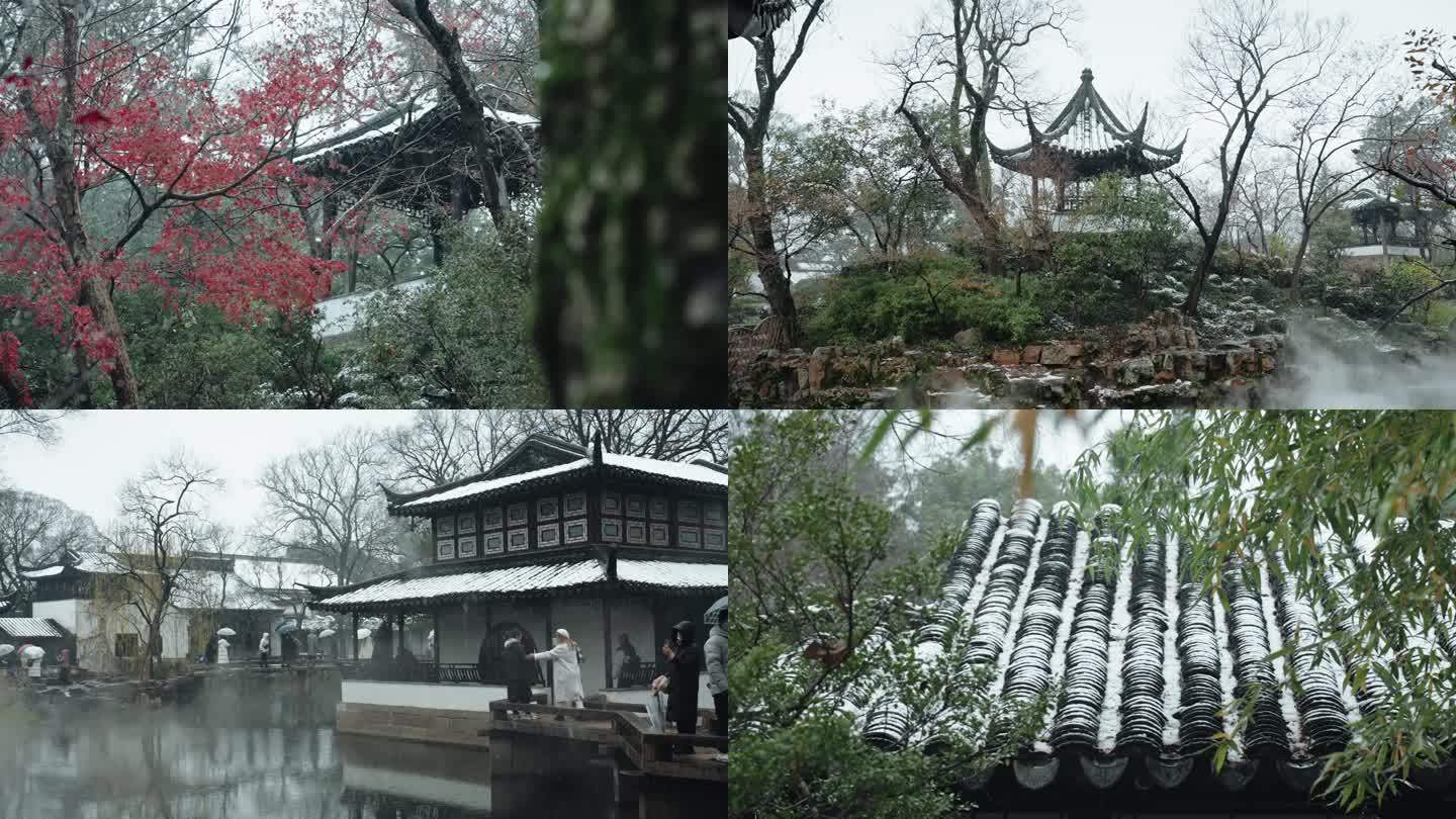拙政园下雪地面冬景红枫