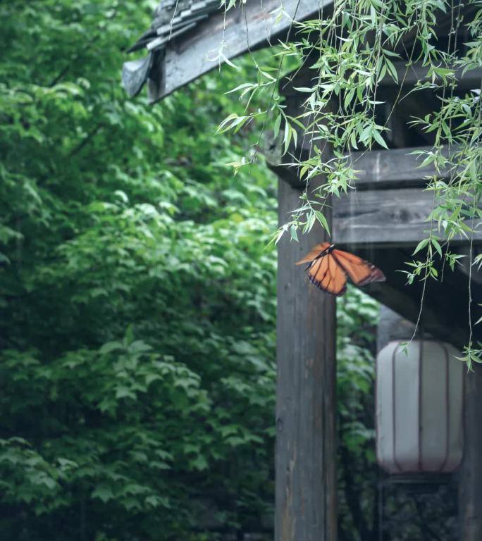 短视频竖版意境治愈雨季写意背景