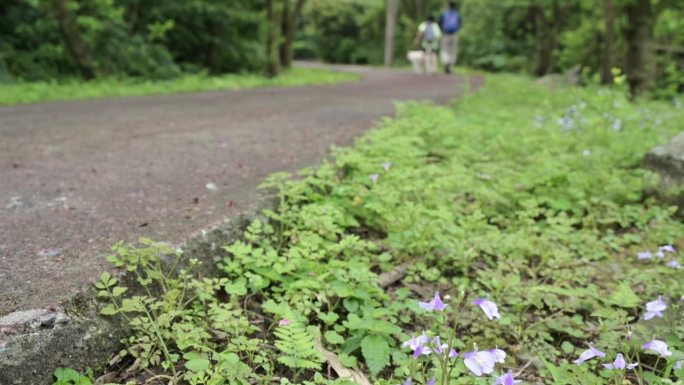 台湾新北市石门区尖山湖径