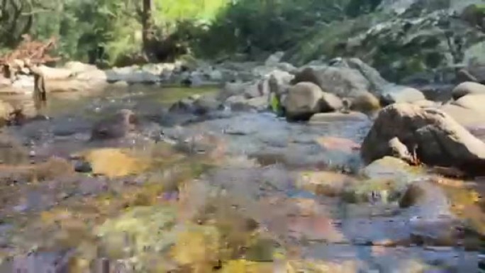 夏日林间溪水潺潺声