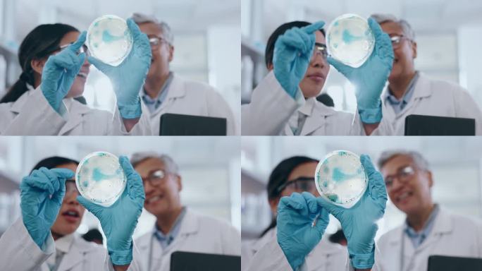 科学，研究和教授与科学家带着细菌样品在实验室进行研究实验。与学生就生物医学发现项目进行合作、讨论和资