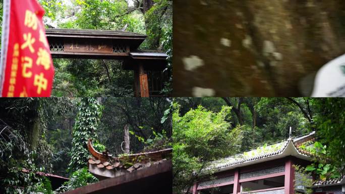 广东肇庆鼎湖山自然风光风景景区绿植山水