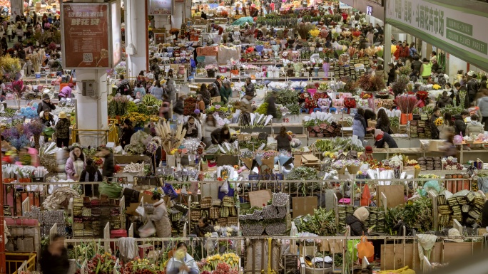 【8K】昆明斗南花市室内延时摄影