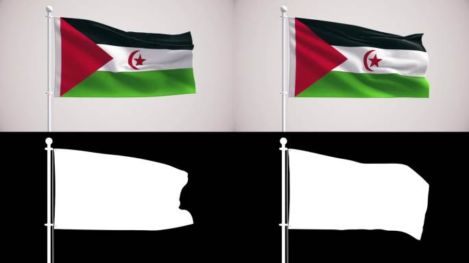 西撒哈拉旗帜+阿尔法频道