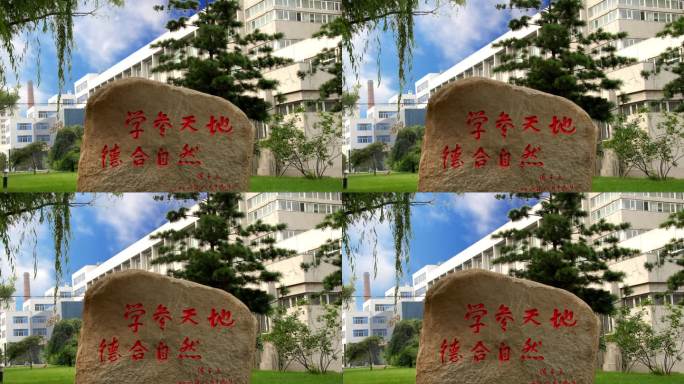 东北林业大学校训石