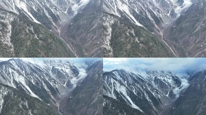 梅里雪山和山下的森林