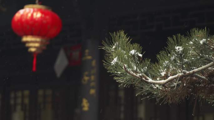 雪 下雪 园林雪景 红灯笼