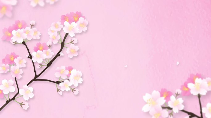 樱花循环动画粉红色
