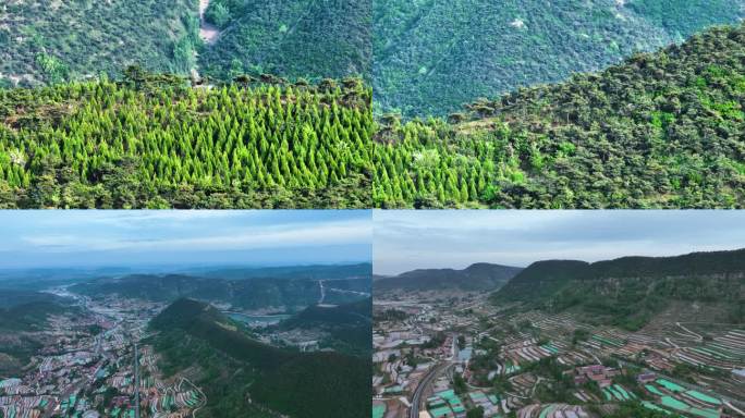 沂水 沂蒙山 梯田 沂蒙丘陵